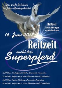 Pferdespektakel 2013