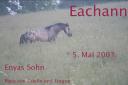 eachann1.jpg