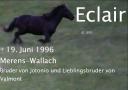 eclair.jpg