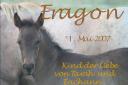 eragon.jpg
