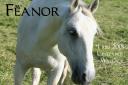 feanor.jpg