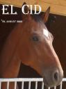 elcid.jpg