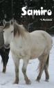 samiroi.jpg