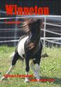 winnetou.jpg