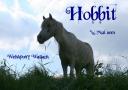 hobbiti.jpg