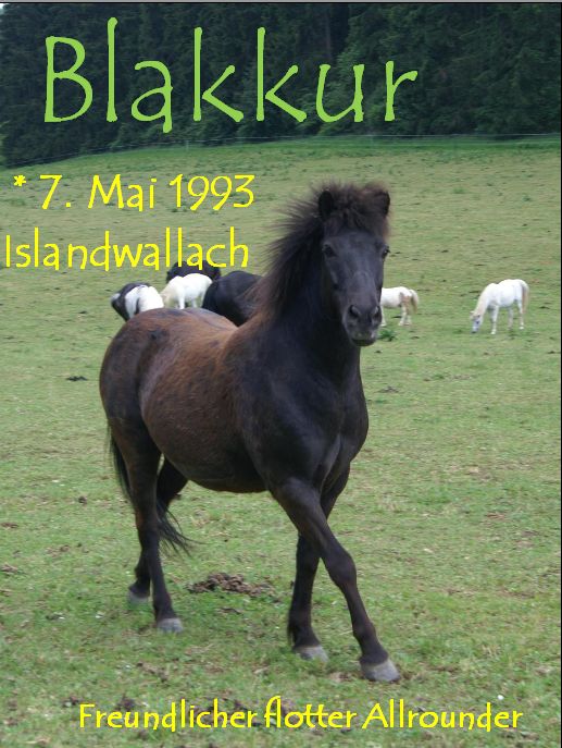 Blakkur