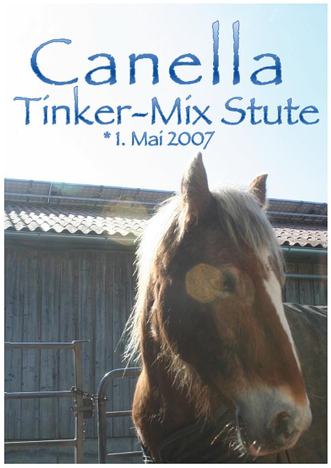 Canella