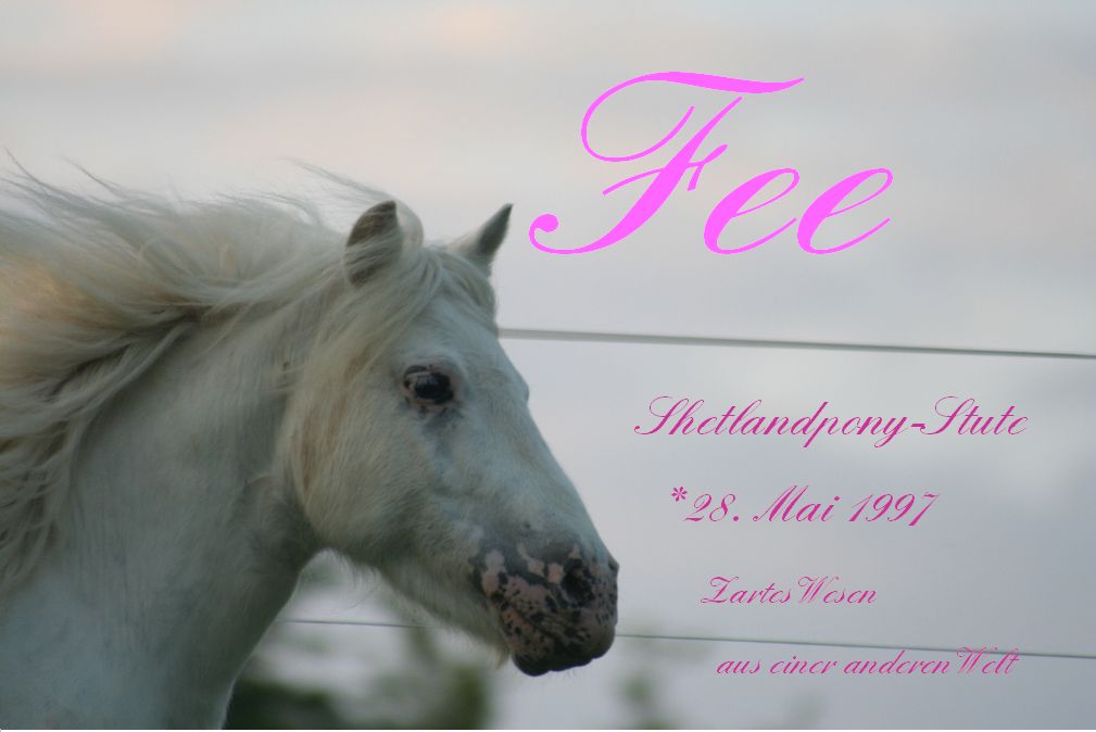 Fee
