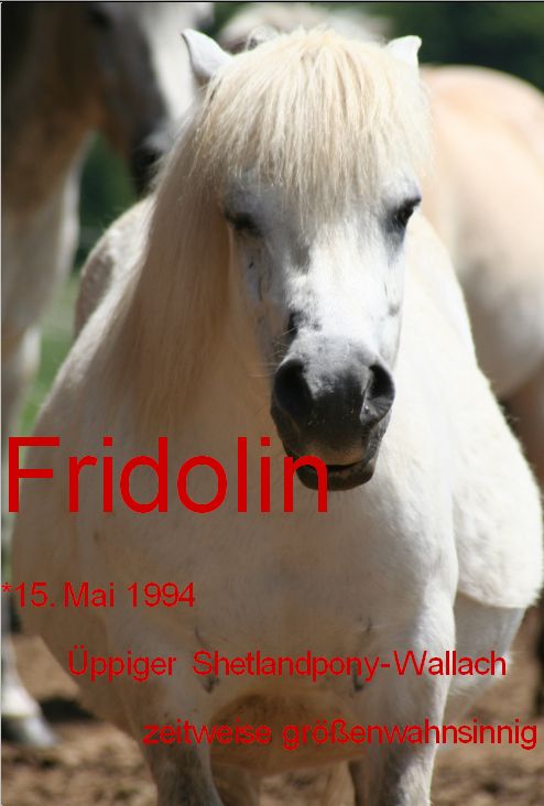 Fridolin