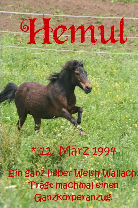 Hemul
