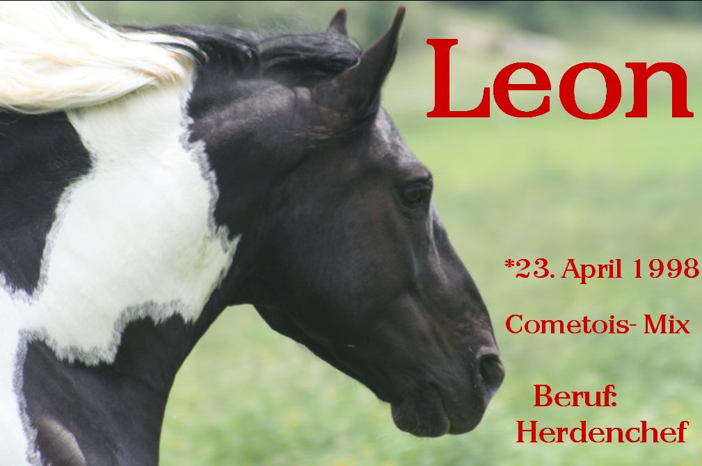 Leon