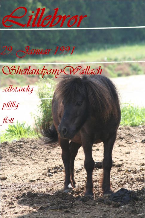 Lillebror