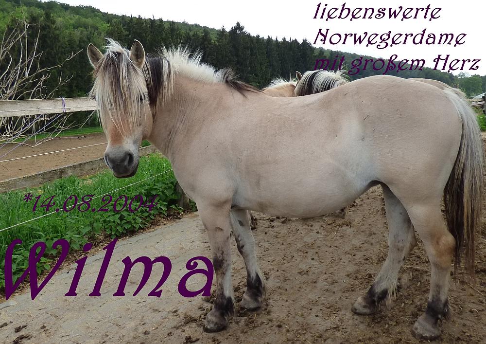 Wilma