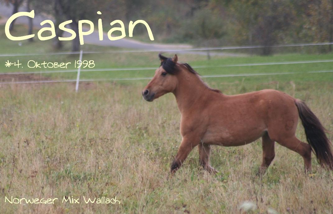 Caspian