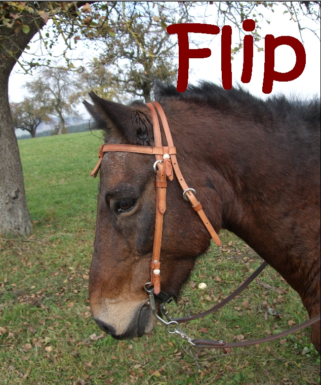 Flip