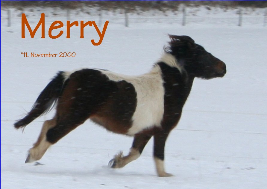 merryi.jpg