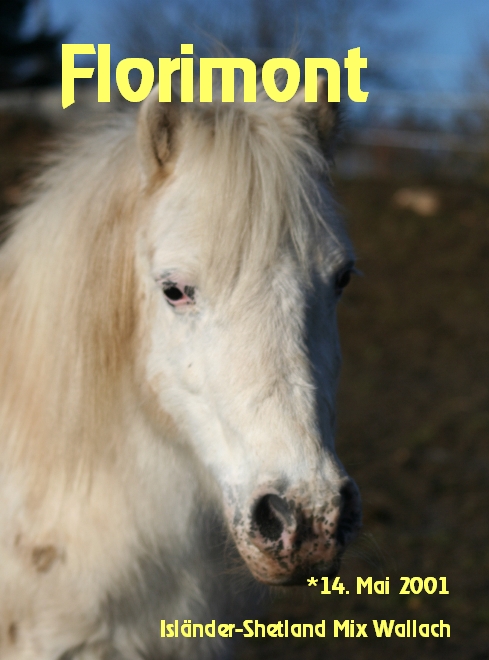 flori.jpg