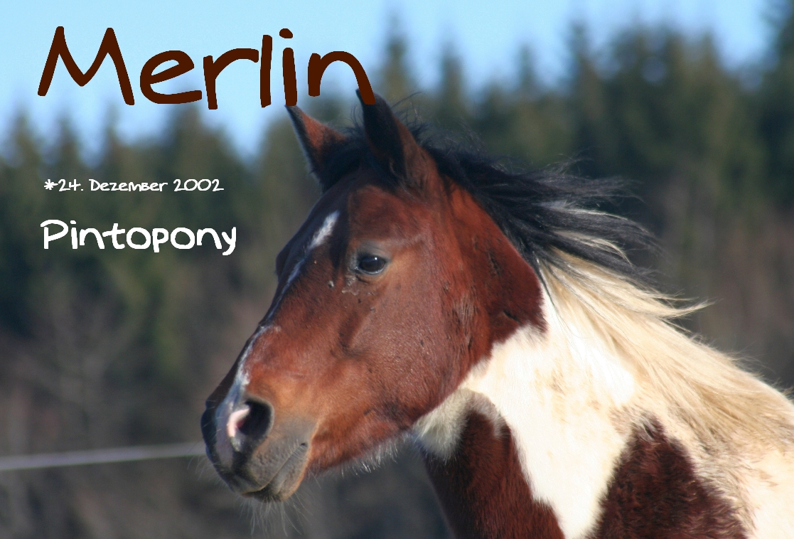 Merlin